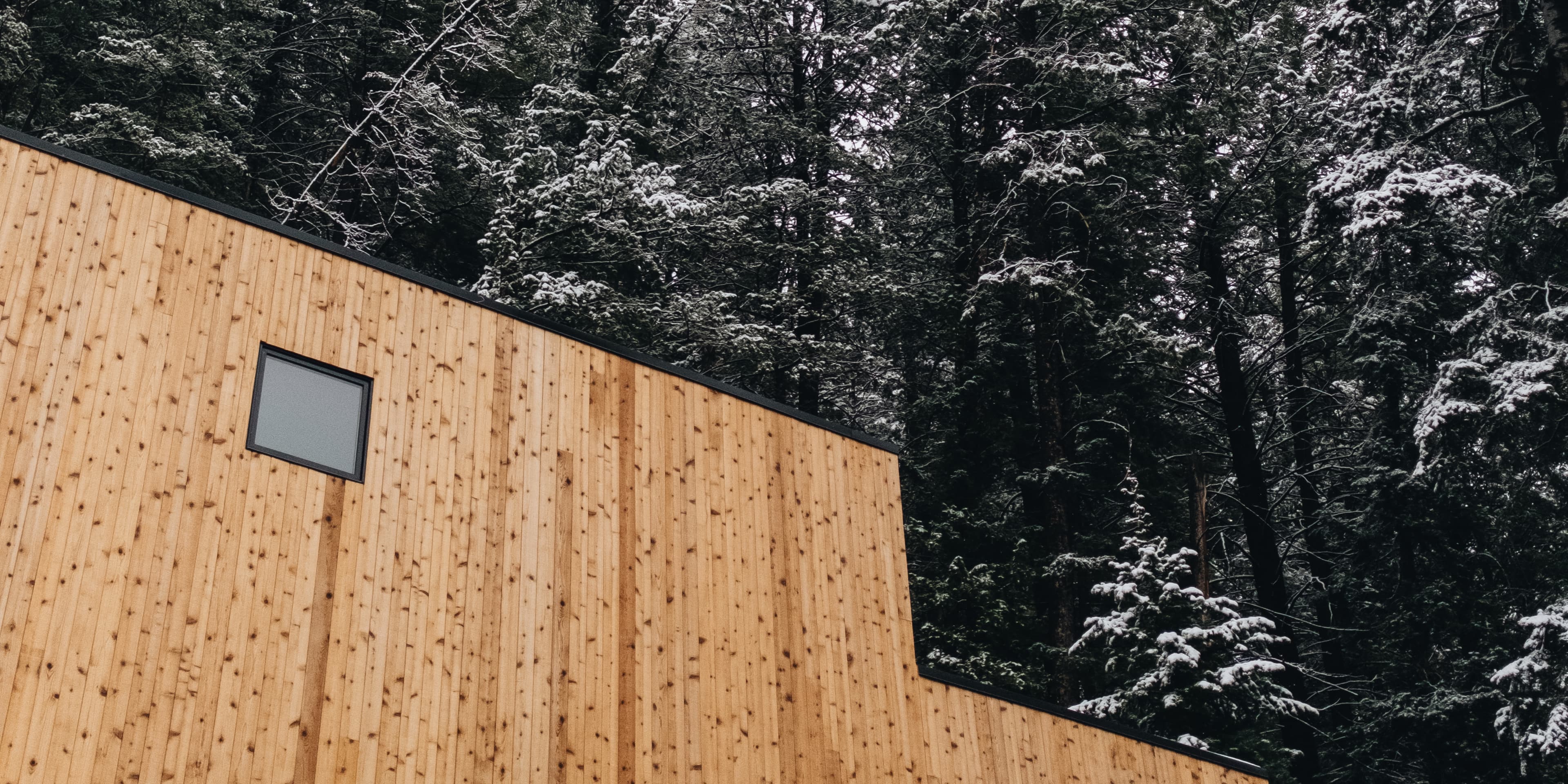 Cover photo